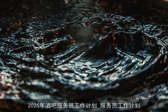 2025年酒吧服务员工作计划_服务员工作计划