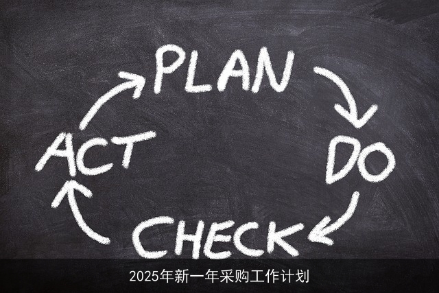 2025年新一年采购工作计划