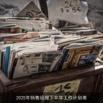 2025年销售经理下半年策略规划与执行计划