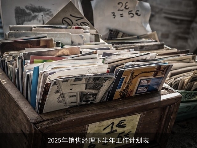 2025年销售经理下半年工作计划表
