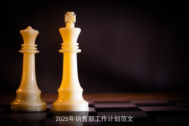 2025年销售部工作计划范文