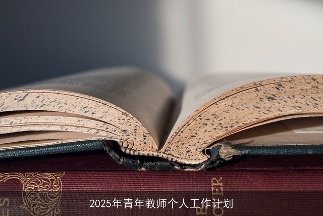 2025年青年教师个人工作计划