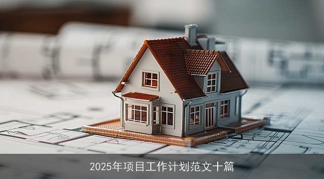 2025年项目工作计划范文十篇