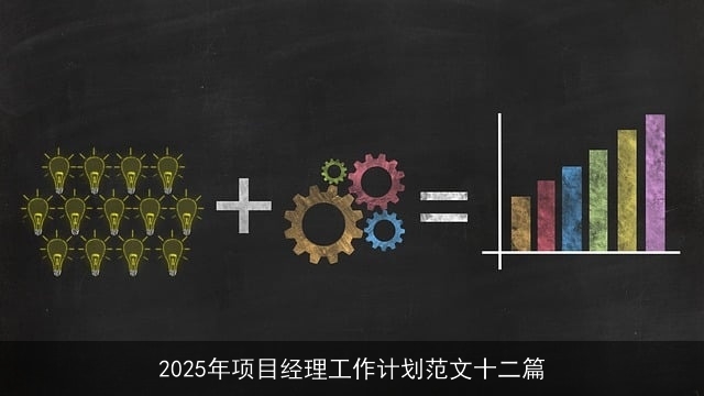2025年项目经理工作计划范文十二篇