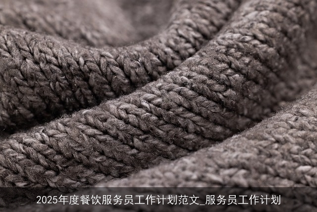 2025年度餐饮服务员工作计划范文_服务员工作计划