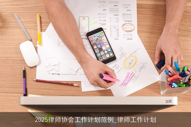 2025律师协会工作计划范例_律师工作计划