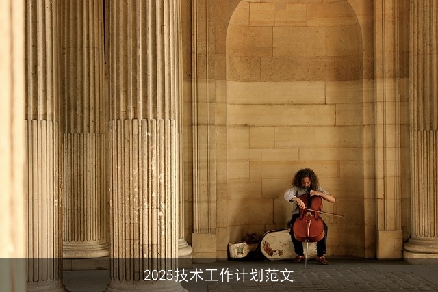2025技术工作计划范文