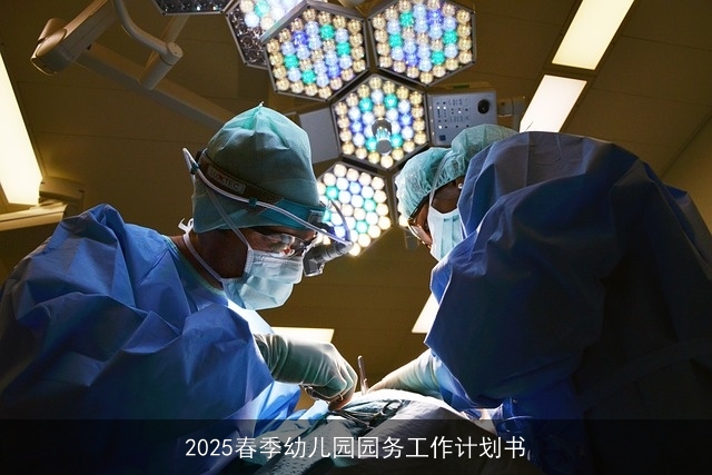 2025春季幼儿园园务工作计划书
