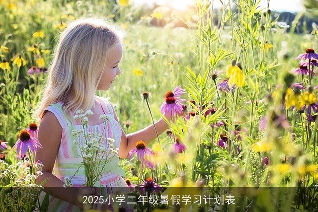 2025小学二年级暑假学习计划表