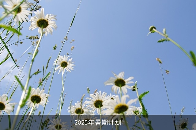 2025年暑期计划