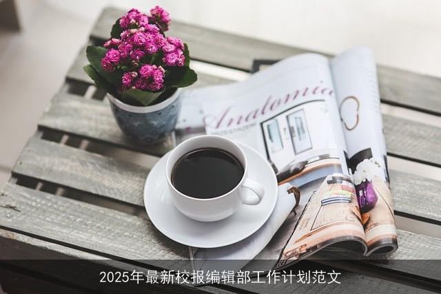 2025年最新校报编辑部工作计划范文