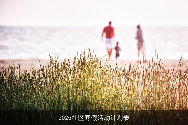 2025社区寒假活动计划表