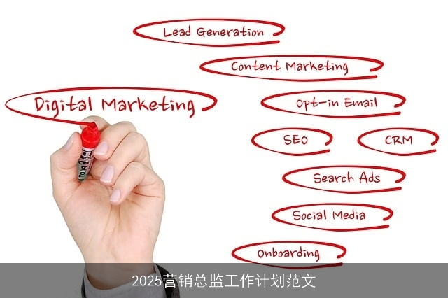 2025营销总监工作计划范文