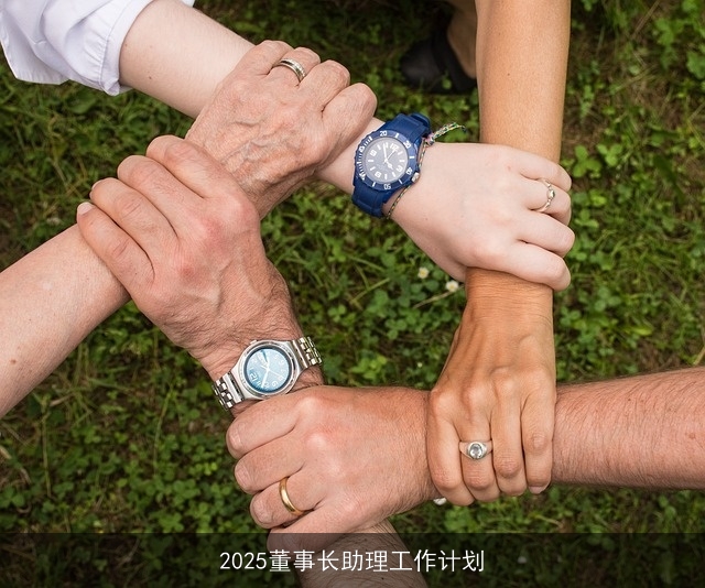 2025董事长助理工作计划