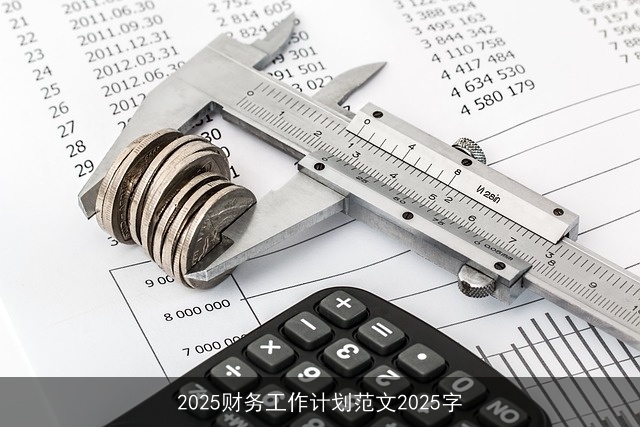 2025财务工作计划范文2025字