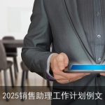 2025销售助理工作计划例文