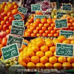 2025销售经理工作计划范例