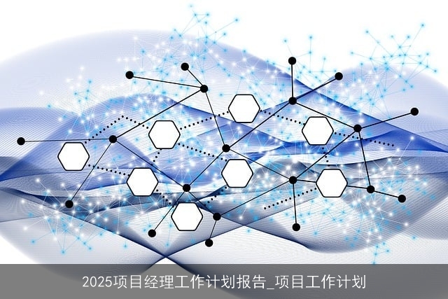 2025项目经理工作计划报告_项目工作计划