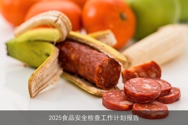 2025食品安全检查工作计划报告