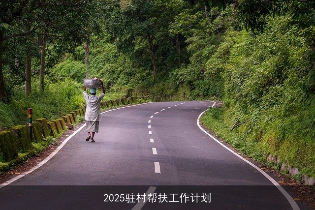 2025驻村帮扶工作计划