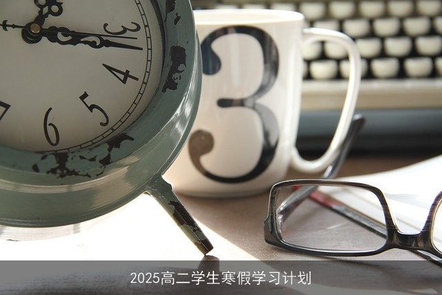 2025高二学生寒假学习计划