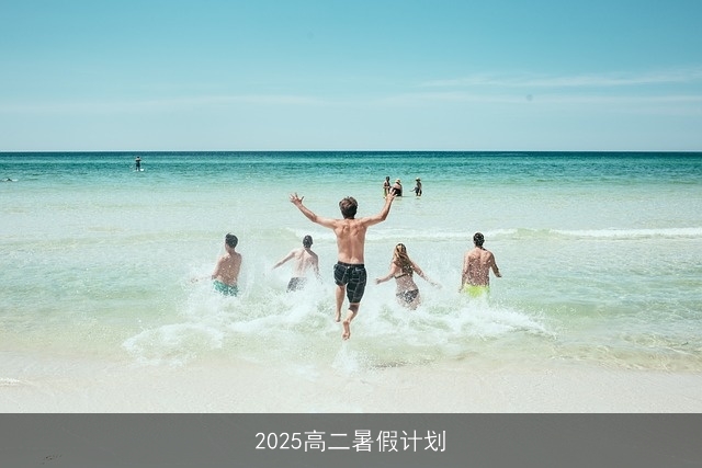 2025高二暑假计划