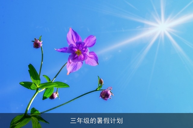 三年级的暑假计划