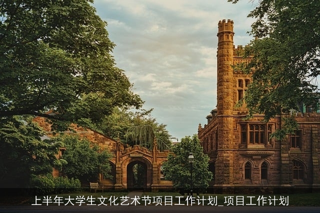 上半年大学生文化艺术节项目工作计划_项目工作计划