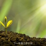 下一年度工作计划
