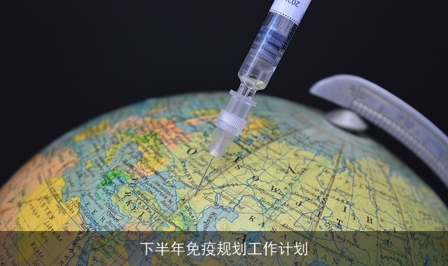 下半年免疫规划工作计划