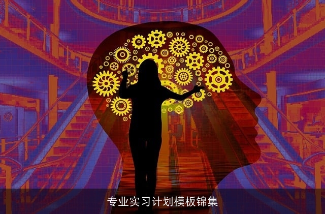 专业实习计划模板锦集