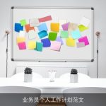 业务员个人工作计划范文