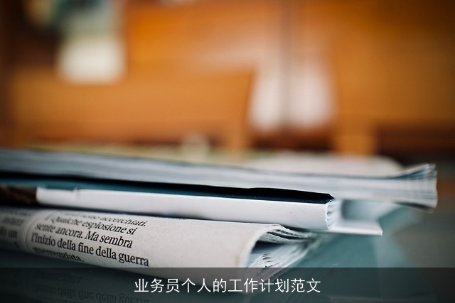 业务员个人的工作计划范文