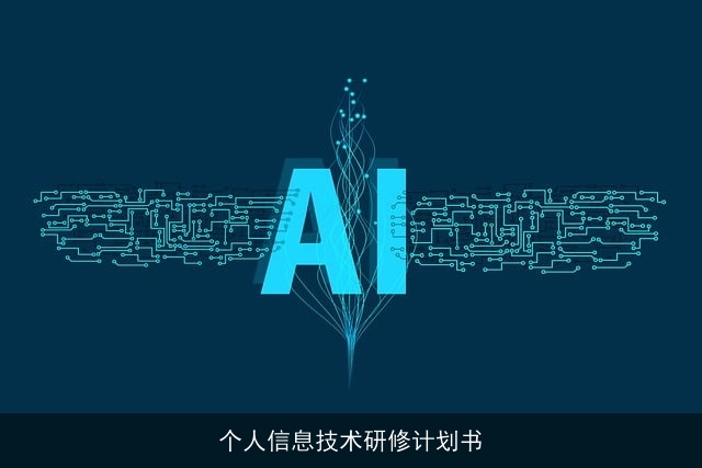 个人信息技术研修计划书