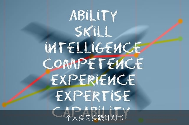 个人实习实践计划书
