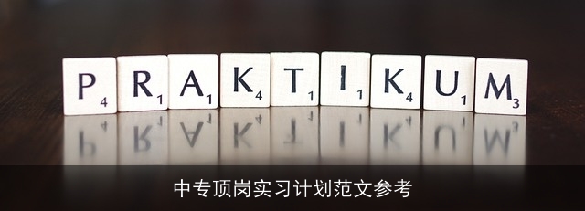 中专顶岗实习计划范文参考