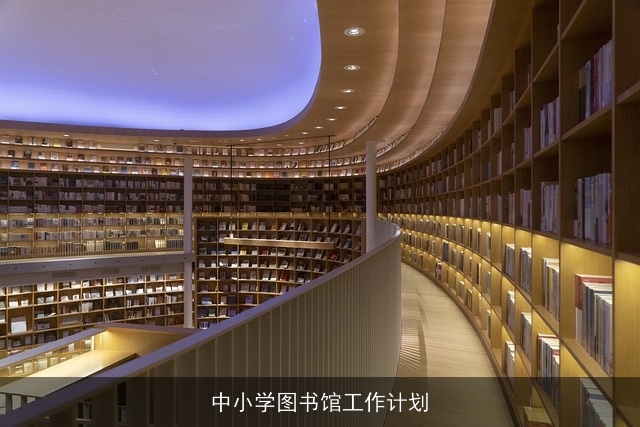 中小学图书馆工作计划