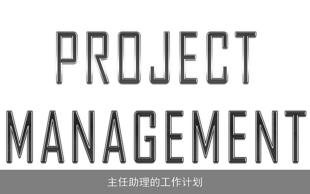 主任助理的工作计划