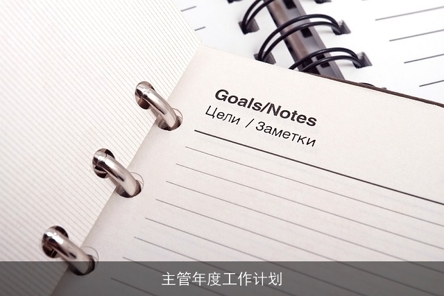 主管年度工作计划
