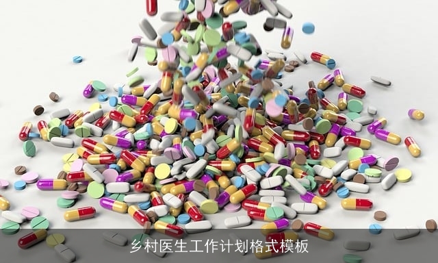 乡村医生工作计划格式模板