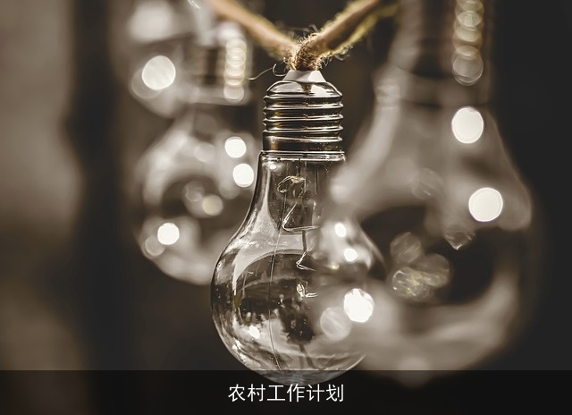 农村工作计划