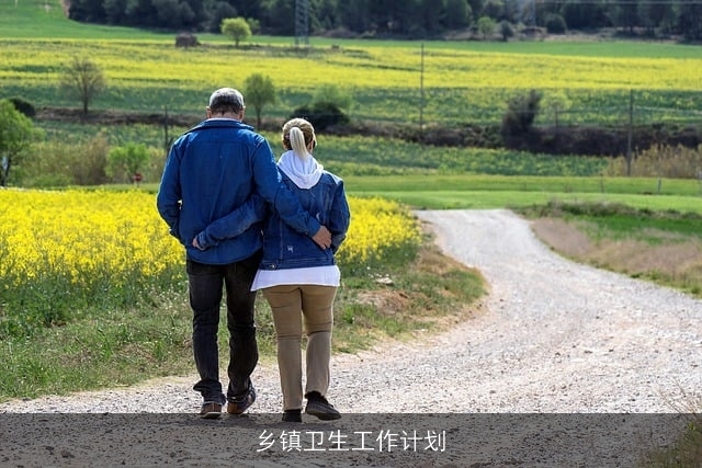 乡镇卫生工作计划