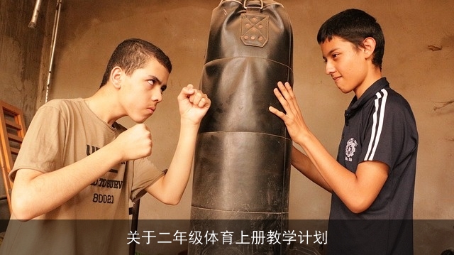 关于二年级体育上册教学计划