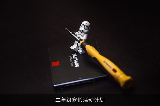 二年级寒假活动计划