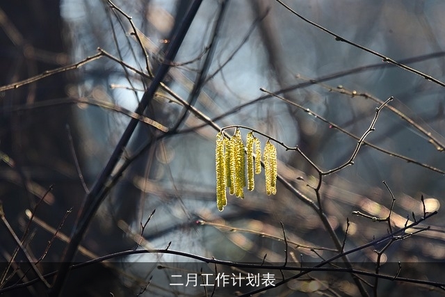 二月工作计划表