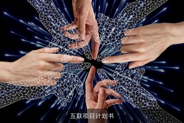 互联项目计划书