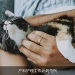 产科护理工作计划范例