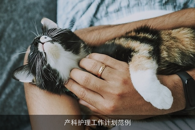 产科护理工作计划范例