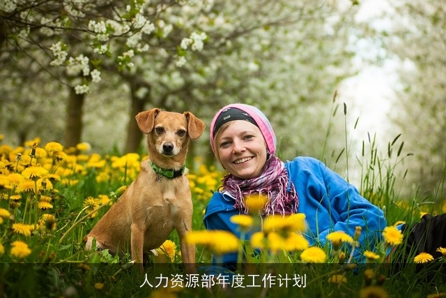 人力资源部年度工作计划