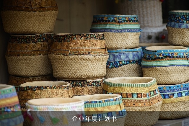 企业年度计划书